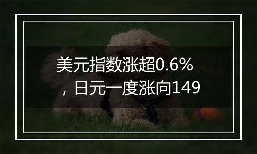 美元指数涨超0.6%,日元一度涨向149