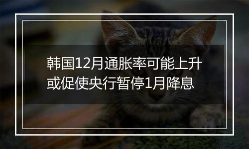 韩国12月通胀率可能上升或促使央行暂停1月降息