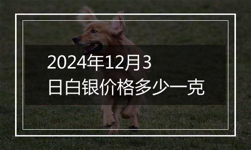 2024年12月3日白银价格多少一克