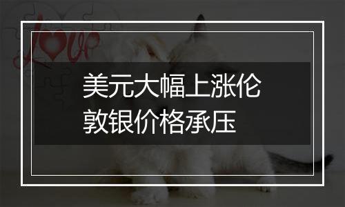 美元大幅上涨伦敦银价格承压