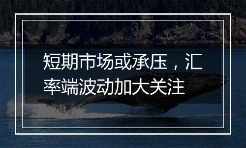 短期市场或承压,汇率端波动加大关注