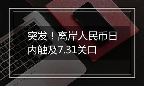突发!离岸人民币日内触及7.31关口