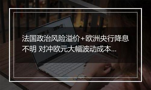 法国政治风险溢价+欧洲央行降息不明 对冲欧元大幅波动成本触及2023年3月以来新高