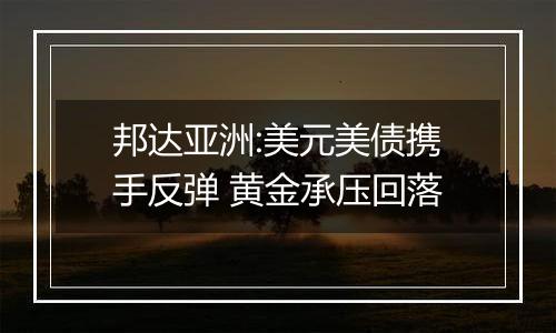 邦达亚洲:美元美债携手反弹 黄金承压回落