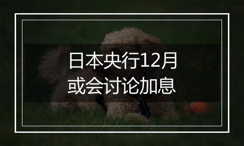 日本央行12月或会讨论加息
