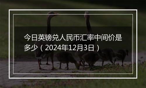 今日英镑兑人民币汇率中间价是多少（2024年12月3日）
