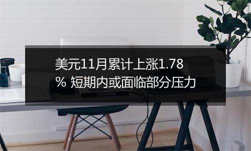 美元11月累计上涨1.78% 短期内或面临部分压力