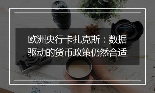 欧洲央行卡扎克斯:数据驱动的货币政策仍然合适