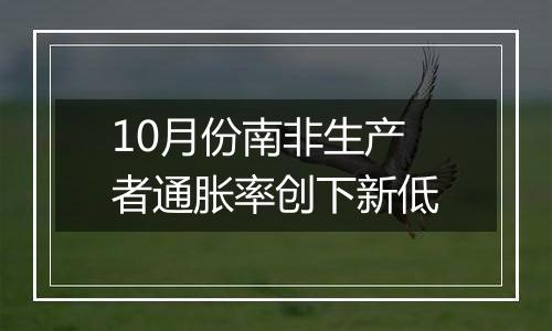 10月份南非生产者通胀率创下新低