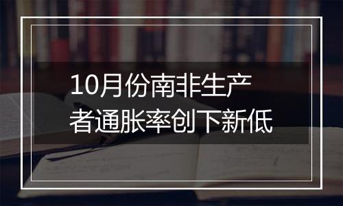 10月份南非生产者通胀率创下新低
