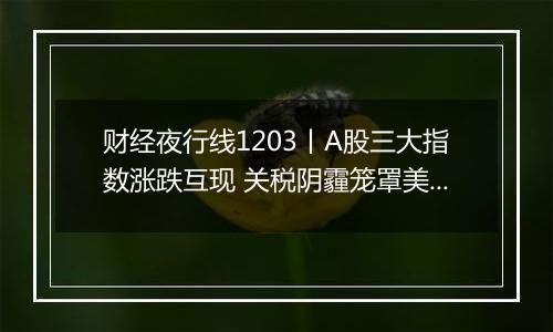 财经夜行线1203丨A股三大指数涨跌互现 关税阴霾笼罩美国经济 如何影响美联储降息前景?