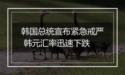 韩国总统宣布紧急戒严 韩元汇率迅速下跌
