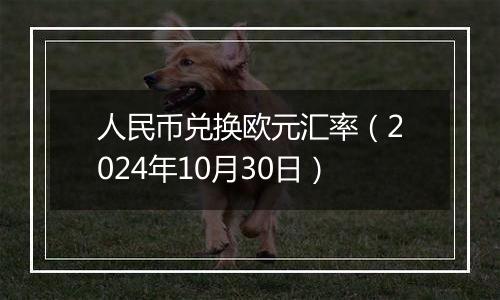 人民币兑换欧元汇率（2024年10月30日）