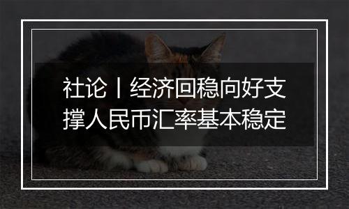 社论丨经济回稳向好支撑人民币汇率基本稳定