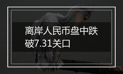 离岸人民币盘中跌破7.31关口