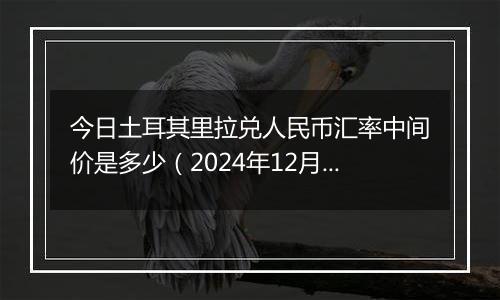 今日土耳其里拉兑人民币汇率中间价是多少(2024年12月4日)