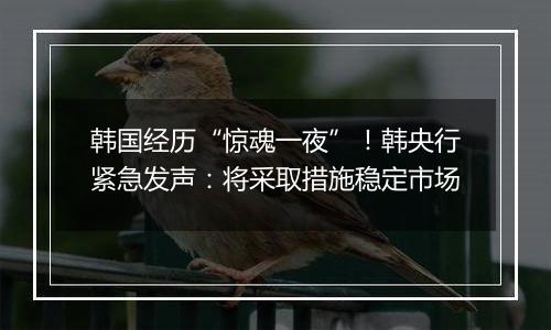 韩国经历“惊魂一夜”!韩央行紧急发声:将采取措施稳定市场