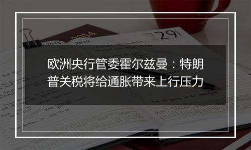 欧洲央行管委霍尔兹曼:特朗普关税将给通胀带来上行压力