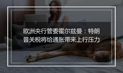 欧洲央行管委霍尔兹曼:特朗普关税将给通胀带来上行压力