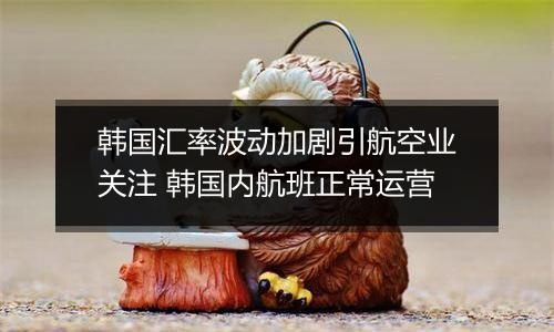 韩国汇率波动加剧引航空业关注 韩国内航班正常运营
