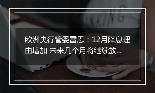 欧洲央行管委雷恩:12月降息理由增加 未来几个月将继续放松政策