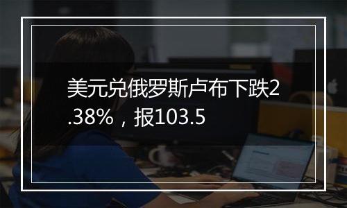 美元兑俄罗斯卢布下跌2.38%,报103.5