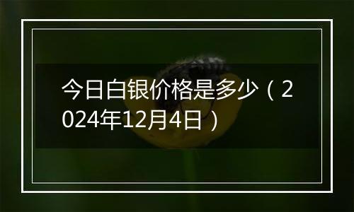 今日白银价格是多少(2024年12月4日)
