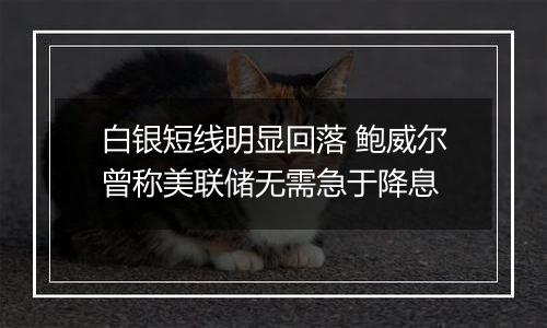 白银短线明显回落 鲍威尔曾称美联储无需急于降息