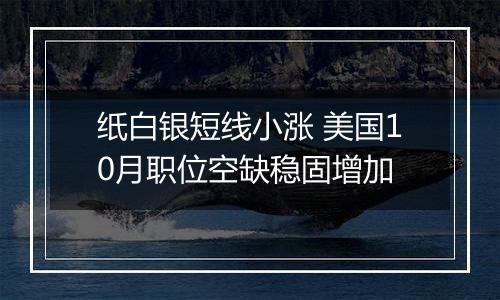 纸白银短线小涨 美国10月职位空缺稳固增加