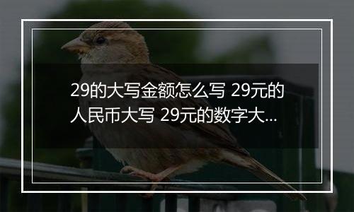 29的大写金额怎么写 29元的人民币大写 29元的数字大写