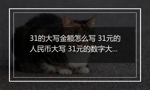 31的大写金额怎么写 31元的人民币大写 31元的数字大写