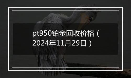 pt950铂金回收价格(2024年11月29日)