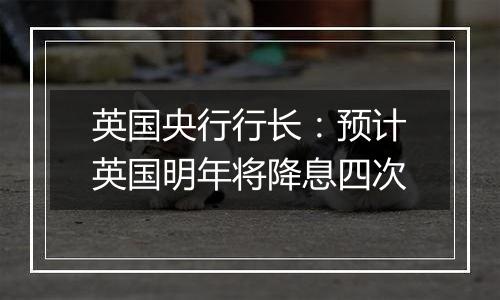 英国央行行长:预计英国明年将降息四次