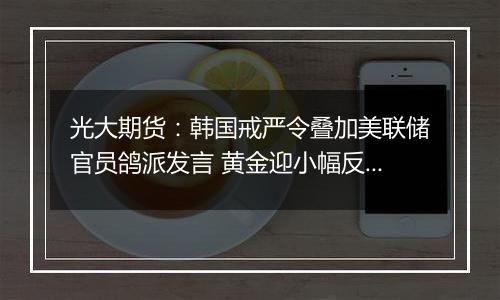 光大期货:韩国戒严令叠加美联储官员鸽派发言 黄金迎小幅反弹