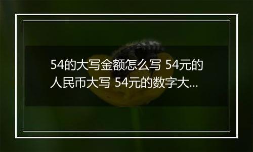 54的大写金额怎么写 54元的人民币大写 54元的数字大写
