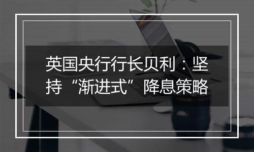 英国央行行长贝利:坚持“渐进式”降息策略