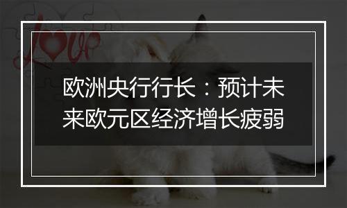 欧洲央行行长:预计未来欧元区经济增长疲弱