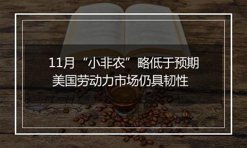 11月“小非农”略低于预期 美国劳动力市场仍具韧性