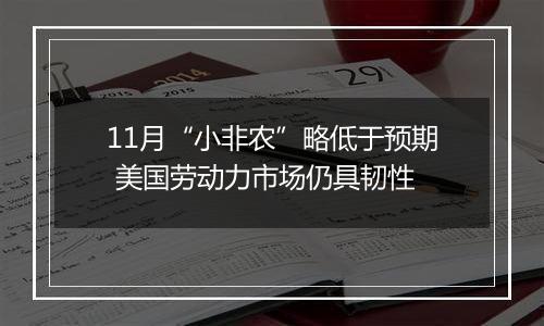 11月“小非农”略低于预期 美国劳动力市场仍具韧性