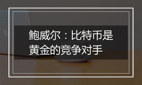 鲍威尔:比特币是黄金的竞争对手