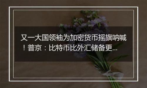 又一大国领袖为加密货币摇旗呐喊!普京:比特币比外汇储备更好