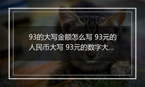 93的大写金额怎么写 93元的人民币大写 93元的数字大写