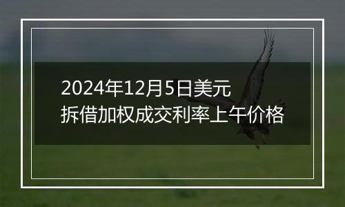 2024年12月5日美元拆借加权成交利率上午价格