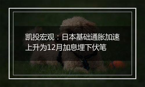 凯投宏观:日本基础通胀加速上升为12月加息埋下伏笔