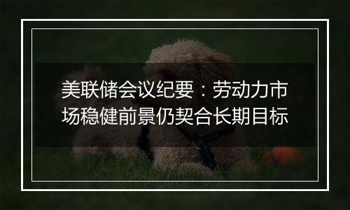 美联储会议纪要:劳动力市场稳健前景仍契合长期目标