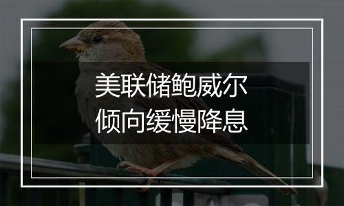 美联储鲍威尔倾向缓慢降息
