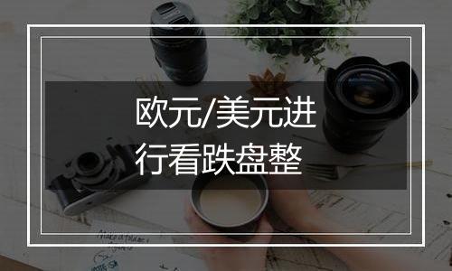 欧元/美元进行看跌盘整
