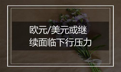 欧元/美元或继续面临下行压力