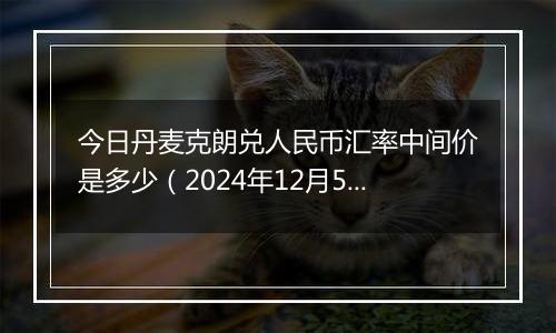 今日丹麦克朗兑人民币汇率中间价是多少(2024年12月5日)