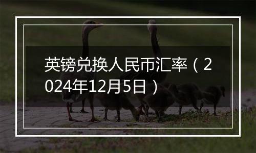 英镑兑换人民币汇率(2024年12月5日)